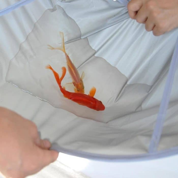 Haarschnitt-Umhang aus PE-Material, 60 cm, Regenschirm-Design, Salon-Friseur-Umhang für Haarfärbe-Dauerwelle, PE – Bild 6