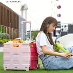 Tragbarer, zusammenklappbarer Einkaufswagen aus Kunststoff, kleiner Einkaufswagen für den Lebensmitteleinkauf, Two Wheels Dark Blue, Two Wheels Green, Two Wheels Rose Pink, Universal Wheel Pink, Universal Wheel Black, Universal Wheel Green... – Bild 9