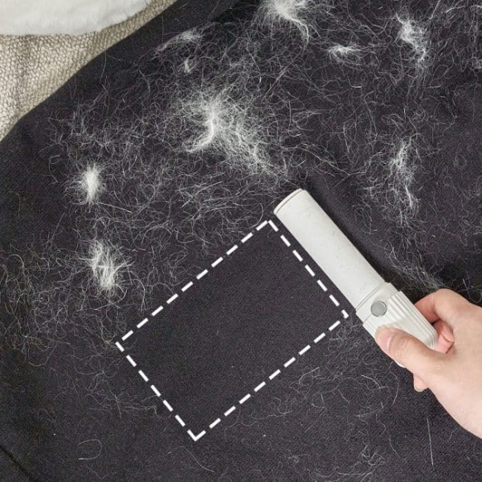 Tragbarer, austauschbarer Kleidungs-Haaraufkleber, Haushalts- und Tierhaarentfernungswerkzeug – Bild 9