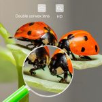 4 Stück 40 mm 3-fache Kunststoff-Acryllinse, Kinder-Lehrlupe, Farbgriff-Lupe, Farbe, zufällige Lieferung – Bild 6