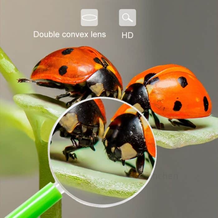 4 Stück 40 mm 3-fache Kunststoff-Acryllinse, Kinder-Lehrlupe, Farbgriff-Lupe, Farbe, zufällige Lieferung – Bild 6