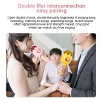 ICARER FAMILY F816 Karaoke-Mikrofon-Lautsprecher, Heim-Bluetooth-Funkmikrofon – Bild 9