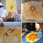 Japanische hauchdünne Meeresfrüchte-Cracker-Pfannkuchenmaschine, US Plug 110V 2200W, EU Plug 220V 2800W, UK Plug 220V 2800W, JP Plug 220V 2800W – Bild 8