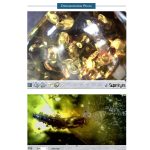 Supereyes 500x HD USB-Elektronenmikroskop zur Reparatur von Leiterplatten – Bild 10