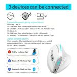 ZELOTES F36 9-Tasten Vertikaler Griff Ergonomische Programmierung Dual Bluetooth + 2,4G Drahtlose Maus, F36 (White), F36 (Black) – Bild 11