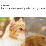 WS-300II Video-Fülllicht LED-Beauty-Shooting-Licht mit zwei Farbtemperaturen, Single Lamp+US Plug Adapter, Single Lamp+EU Plug Adapter – Bild 9