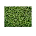 2.1m x 1,5 mgrün Blätter Wall Birthday Party Fotografie Hintergrund Tuch – Bild 2