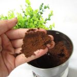 Multifunktionale EU-Stecker-Kaffeemühle, rostfrei, elektrisch, für Kräuter/Gewürze/Nüsse/Getreide/Kaffeebohnenmahlen, Coffee Grinder, EU Plug – Bild 11