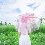 2 Stück Kirschblüten-transparenter dreifach faltbarer Regenschirm, individueller Faltschirm – Bild 5