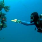 Wasserdichte LED-Taschenlampe zum Tauchen, verstellbare Taschenlampe, Taucharbeit, Angeln, Jagd, Lampe – Bild 6