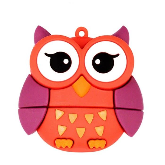ZY17059594.jpg MicroDrive 16 GB USB 2.0 Creative Cute Owl U Disk – Bild 1