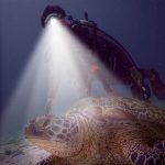 YWXLight 60 m Unterwasserfotografie Video Auffüllscheinwerfer Tauchtaschenlampe mit Batterieanzeigefunktion (Scheinwerfer + Akku + Ladegerät) – Bild 6