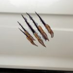 Selbstklebende personalisierte Kratzaufkleber aus PVC fürs Auto – Bild 5