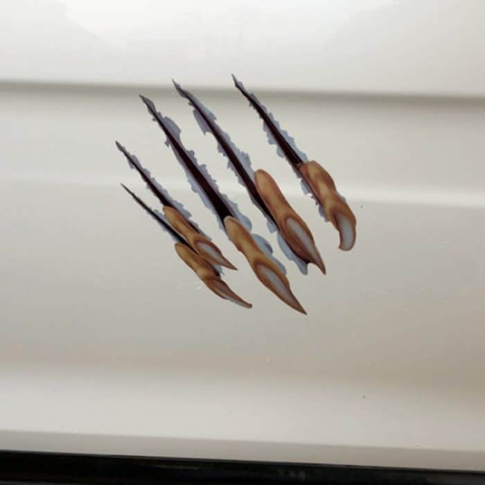 Selbstklebende personalisierte Kratzaufkleber aus PVC fürs Auto – Bild 5