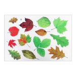 Selbstklebende, personalisierte 3D-PVC-Aufkleber zum Kratzen – Bild 2