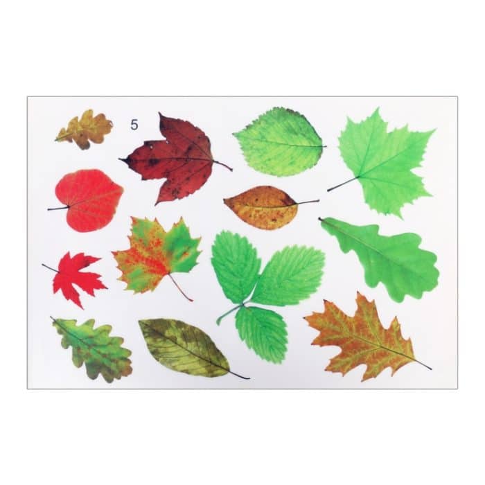 Selbstklebende, personalisierte 3D-PVC-Aufkleber zum Kratzen – Bild 2