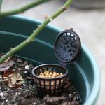 10 STÜCKE Bonsai Tools Gartenprodukte Gartengeräte Bonsai Düngerboxen mit Deckel, groß: 6 x 4 cm – Bild 5