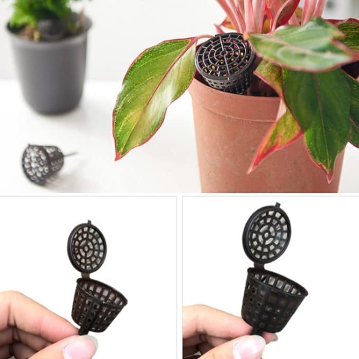 10 STÜCKE Bonsai Tools Gartenprodukte Gartengeräte Bonsai Düngerboxen mit Deckel, klein Größe: 4 x 3 cm – Bild 3