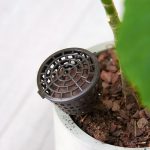 10 STÜCKE Bonsai Tools Gartenprodukte Gartengeräte Bonsai Düngerboxen mit Deckel, klein Größe: 4 x 3 cm – Bild 4