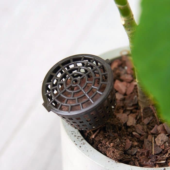 10 STÜCKE Bonsai Tools Gartenprodukte Gartengeräte Bonsai Düngerboxen mit Deckel, klein Größe: 4 x 3 cm – Bild 4