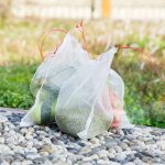 10 PCS Nylon-Netzbeutel Garden Seeds Fruits Schädlingsbekämpfungsbeutel Gemüse Vineyard Anti Bird Net Schädlingsbekämpfungsnetzbeutel Nylon-Netzfilter Zubehör Zubehör, Größe: 30 * 20 cm – Bild 4