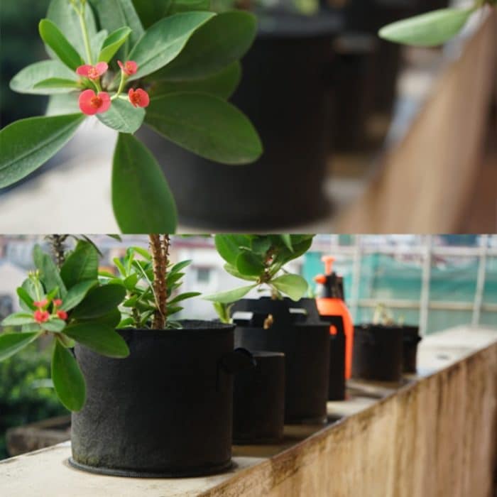 1 Gallone Planting Grow Bag Verdickter Vlies-Belüftungs-Stoffbehälter mit Griff – Bild 9