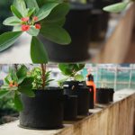 5 Gallonen Pflanzen wachsen Beutel verdickt Vlies Belüftung Stoff Topfbehälter mit Griff – Bild 9