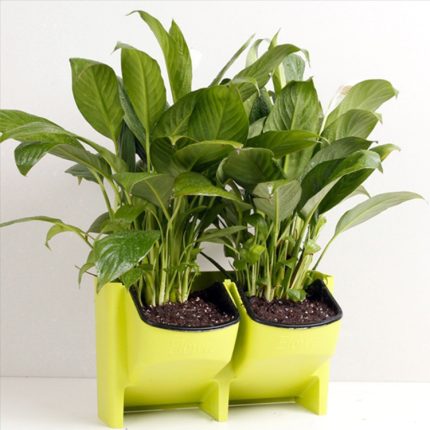 PP-Pflanzgefäß, Blumentopf, Wandbehang, Garten, stapelbar, Gartenzubehör