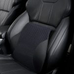 Atmungsaktives Vier-Jahreszeiten-Auto-Lendenkissen aus Memory-Schaum, Polyester-Kissen