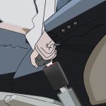 Universal-Sicherheitsgurt-Verlängerungsgurt, Länge: 36 cm – Bild 6