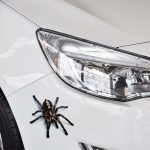 A20 Tiermuster-Karosserie-zufällige Aufkleber