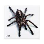 A20 Tiermuster-Karosserie-zufällige Aufkleber – Bild 2