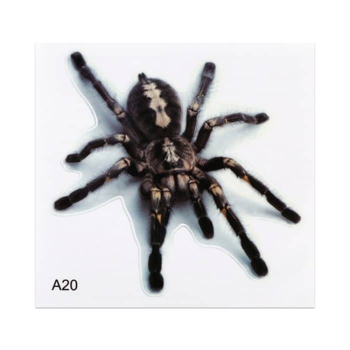 A20 Tiermuster-Karosserie-zufällige Aufkleber – Bild 2