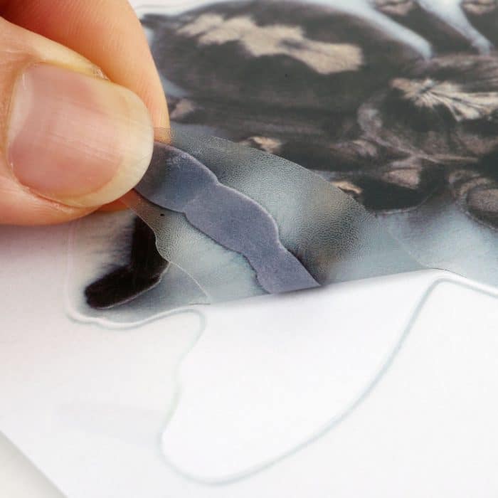 A20 Tiermuster-Karosserie-zufällige Aufkleber – Bild 4