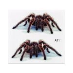 A21 Tiermuster-Karosserie-zufällige Aufkleber – Bild 2