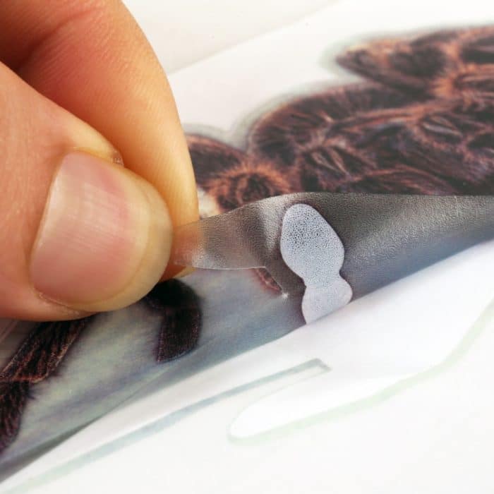 A21 Tiermuster-Karosserie-zufällige Aufkleber – Bild 4