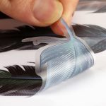 Federwagenkörper Zufällige Aufkleber, Muster 4 – Bild 4