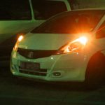 50 Stück T10 DC12V / 0,3 W COB-Lampenperlen für Auto-Umrissleuchte, DC12V (Yellow Light), DC12V (Ice Blue Light), DC12V (White Light), DC12V (Blue Light), DC12V (Red Light), DC12V (Green Light) – Bild 7