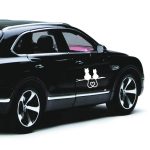 20 Stück Auto-Körper-Stoßstange, Vinyl-Aufkleber, Fensteraufkleber, Größe: 17,8 x 10,8 cm, Dual Cats – Bild 4