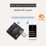 XY-C15H 20 W Zweikanal-HIFI-Bluetooth-5.0-Stereo-Digital-Audio-Leistungsverstärkerplatine mit Gehäuse – Bild 6