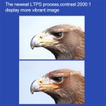 D40S 1600 Lumen tragbarer Heimkino-LED-HD-Digitalprojektor, D40S – Bild 9