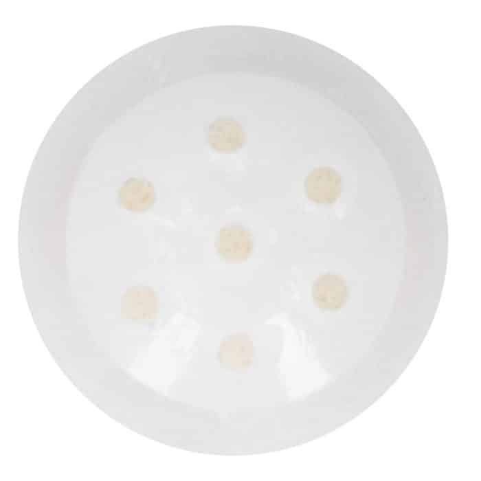 Entlüftungsventil-Balancer für STIHL 026 036 038 044 381 MS311 – Bild 4