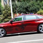 2 Teile/satz D-498 Pterosaur Spitfire Muster Auto Modifizierte Dekorative Aufkleber, D-498 – Bild 6