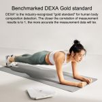 Original Xiaomi Acht-Elektroden-Körperfettwaage WiFi Bluetooth APP-Unterstützung, Eight Electrode – Bild 6