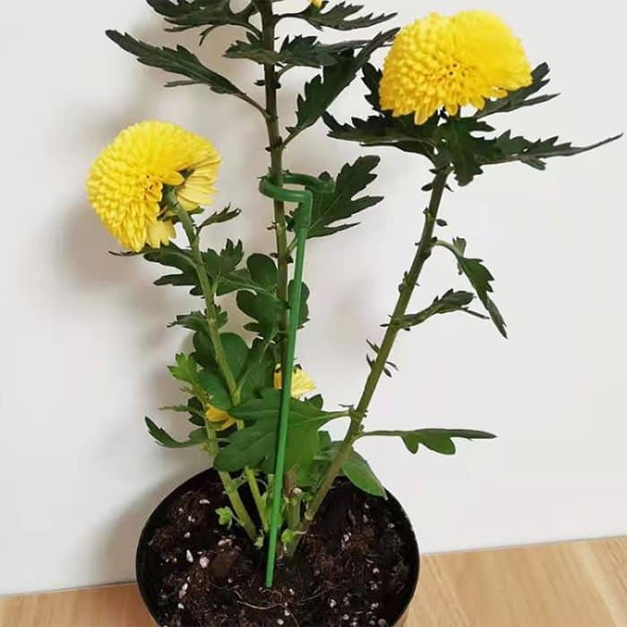 10 Stück Blumenform-Stützstange für Pflanzen im Topf, fester Anti-Unterbringungs-Blattschutzrahmen, 17cm, 27cm, 37cm, 48cm, 58cm – Bild 6