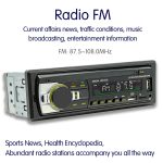 JSD-530 Bluetooth 5.0 Auto-MP3-Player unterstützt FM / Smart Voice Assistant / Mobile APP – Bild 6