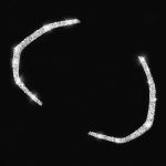 Für Chevrolet Corvette C7 2014–2019, 2-in-1-Armaturenbrett-Rahmen, Diamant-dekorativer Aufkleber, linker Antrieb – Bild 3