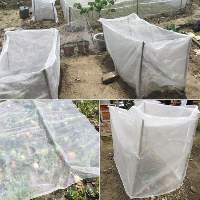 2 Stück staubdichte Nylonnetz-Insektenschutz-Verpackungsbeutel für den Garten, Maschenöffnung: 1 mm, 1.5x10m, 1x5m, 2x3m, 2x5m, 2.5x10m – Bild 4