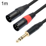 TC145YXK108RE-10 6,35 mm 1/4 TRS-Stecker auf Dual-XLR-Stecker Audiokabel, 1m, 2m, 3m