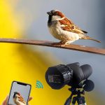 V12 2K WiFi HD Teleskop Okular Outdoor Tragbare Spiegelkamera, V12 – Bild 3